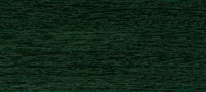 Fir Green (RAL 6009)